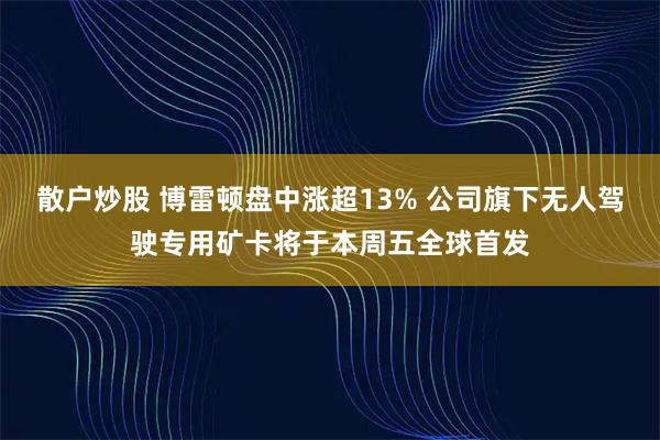 散户炒股 博雷顿盘中涨超13% 公司旗下无人驾驶专用矿卡将于本周五全球首发