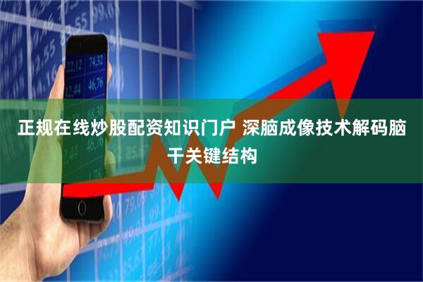 正规在线炒股配资知识门户 深脑成像技术解码脑干关键结构