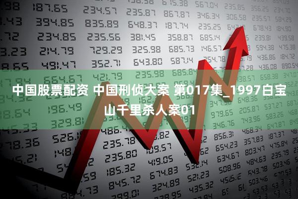 中国股票配资 中国刑侦大案 第017集_1997白宝山千里杀人案01