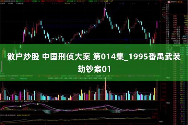 散户炒股 中国刑侦大案 第014集_1995番禺武装劫钞案01