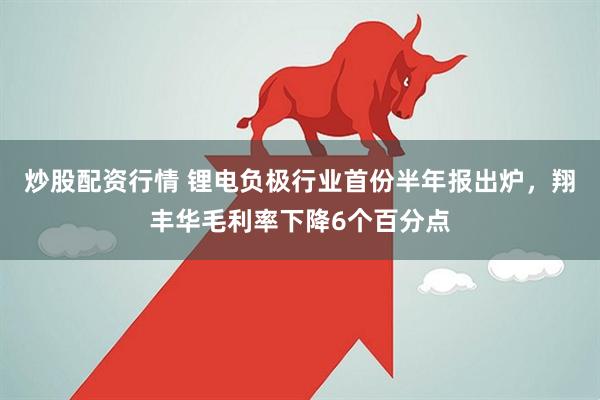 炒股配资行情 锂电负极行业首份半年报出炉，翔丰华毛利率下降6个百分点