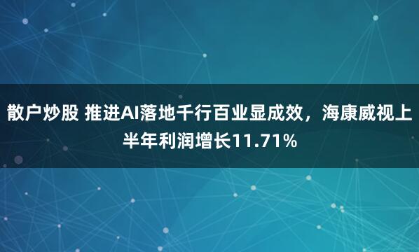 散户炒股 推进AI落地千行百业显成效，海康威视上半年利润增长11.71%
