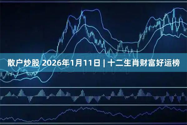 散户炒股 2026年1月11日 | 十二生肖财富好运榜